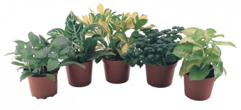 0360ab4ab16840dbd2f7e70c601ab1fb_1542681