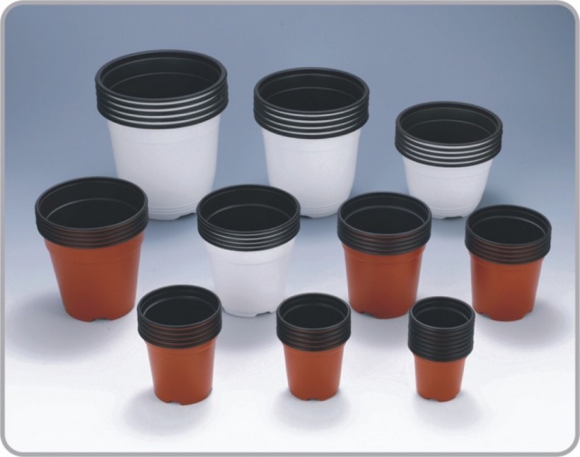 0360ab4ab16840dbd2f7e70c601ab1fb_1542681