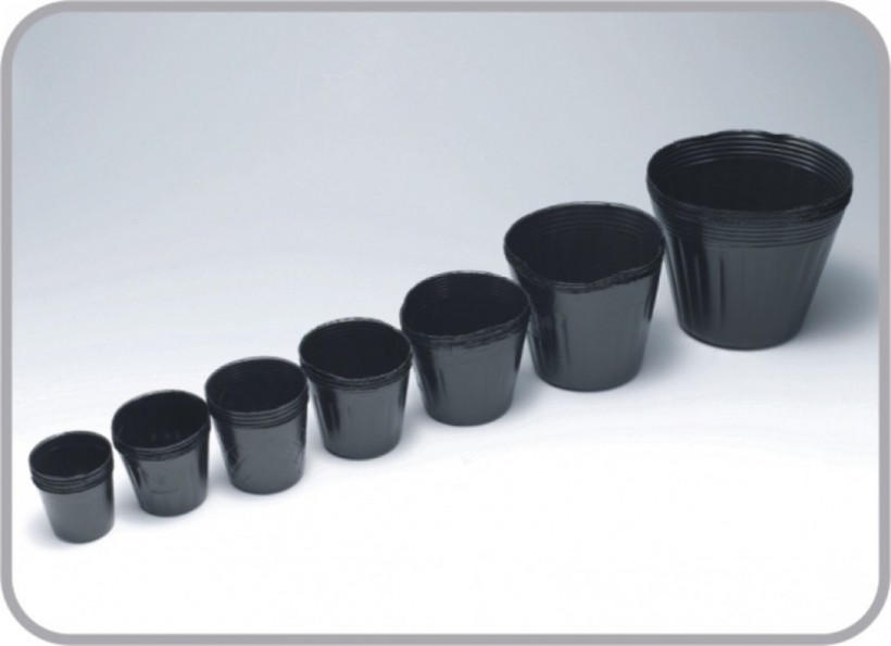 0360ab4ab16840dbd2f7e70c601ab1fb_1542681